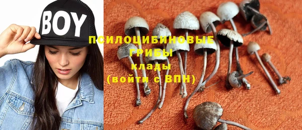 прущие крисы Алексин